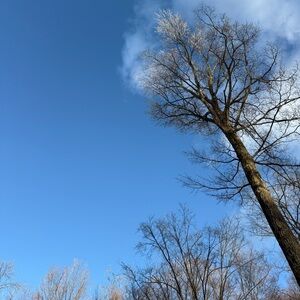 Meet your Posher, Dayna